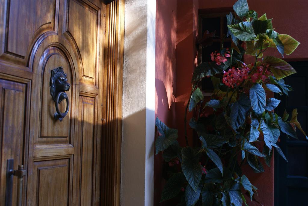 Apartament Felicita Paleokastritsa Zewnętrze zdjęcie